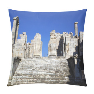 Personality  Ruins Pillow Covers