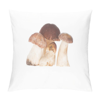 Personality  Four Porcini Mushrooms Pillow Covers