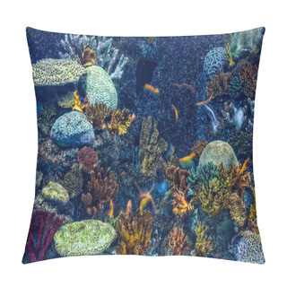 Personality  Underwater World Pillow Covers