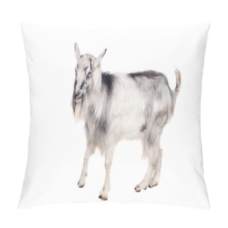 Personality  Gray Goat On White Pillow Covers
