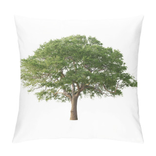 Personality  Green Tree Isolated Pillow Covers