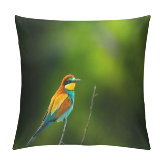 Personality  European Bee-eater , Merops Apiaster Pillow Covers