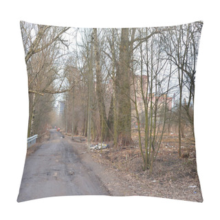 Personality  Rural Dirty Road At Early Spring. Pillow Covers