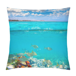 Personality  Denia Alicante Marineta Casiana Beach Fishes Underwater Pillow Covers