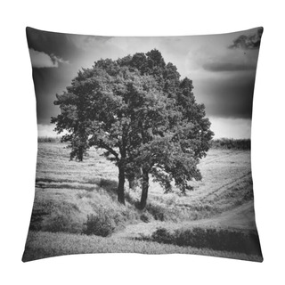 Personality  Awesome Skyscape Over Land Pillow Covers