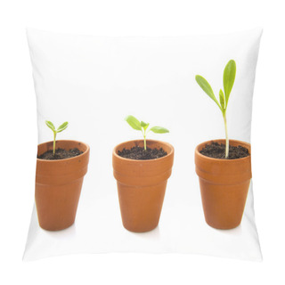 Personality  Growing Pillow Covers