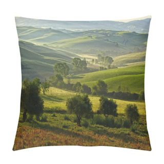 Personality  Countryside, San Quirico D Orcia , Tuscany, Italy Pillow Covers