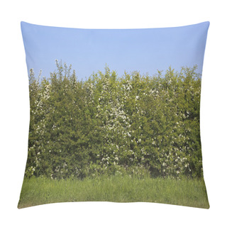 Personality  Roadside Hawthorn Hedge Pillow Covers