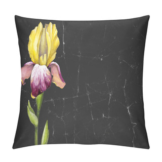 Personality  Watercolor Illustration Of An Iris Flower.  Pillow Covers