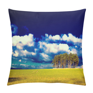 Personality  Fantasy Landscape In HDR Pillow Covers