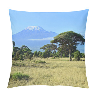 Personality  Mount Kilimanjaro Pillow Covers