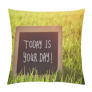 Personality  Chalkboard Lying In The Grass With The Text Today Is Your Day. Pillow Covers