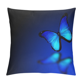 Personality  Morpho Blue Butterfly On Dark Blue Background Pillow Covers