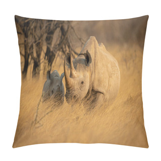 Personality  Baby Black Rhino In Grass Beside Baby Pillow Covers