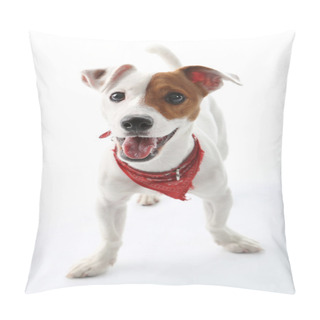Personality  Jack Russell Terrier Dog Joyful Pillow Covers