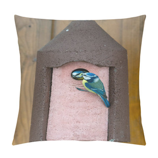 Personality  Blue Tit Bird Feeding Its Baby At The Birdhouse Pillow Covers
