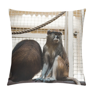 Personality  Selective Focus Of Cute Monkeys Sitting On Wooden Log Near Rope And Cage  Pillow Covers