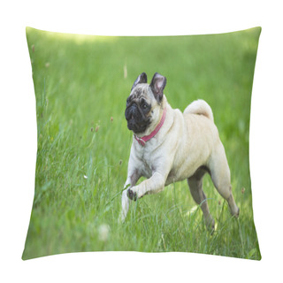 Personality  Fortunately Pug Pillow Covers