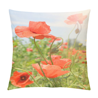 Personality  Field Of Wild Poppies And Other Flowers Pillow Covers