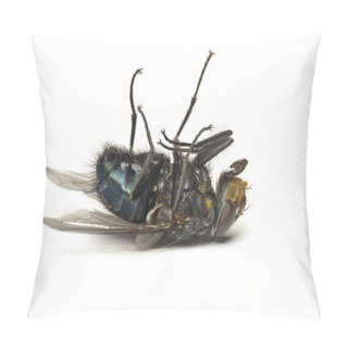 Personality  Dead Fly Isolated On White Pillow Covers