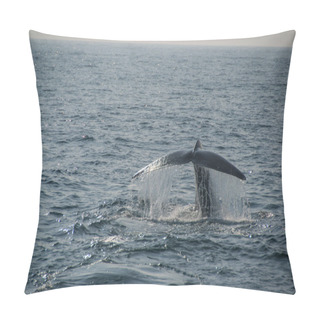 Personality  Blue Whale Tail Pillow Covers