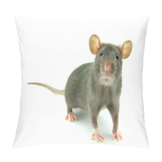 Personality  Rat Pillow Covers