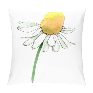 Personality  Chamomile Flower. Spring White Wildflower Isolated. Watercolor Background Illustration Set. Watercolour Drawing Fashion Aquarelle Isolated. Isolated Chamomile Illustration Element. Pillow Covers