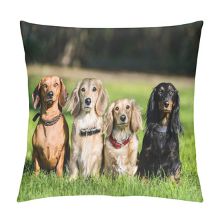 Personality  Four Dachshund Dogs Sitting In Row On Grass Wathcing Their Master Pillow Covers