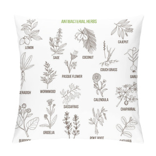 Personality  Best Antibacterial Herbs Pillow Covers