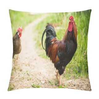 Personality  Rooster And A Chicken Walking Along The Pathway Near Green Grass During Daytime Pillow Covers