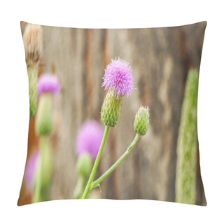 Personality  Blurred Pink Blessed Milk Thistle Flower, Close Up, Shallow Dof. Silybum Marianum Herbal Remedy. Medical Plants. Cardus Marianus, Marian Thistle, Mary Thistle, Saint Mary's Thistle. Pillow Covers