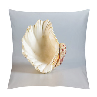 Personality  Shell Of A Large Sea Mollusk Tridacna Gigas On A White Background Pillow Covers