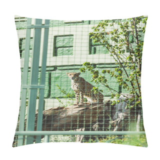 Personality  Selective Focus Of Wild Leopard Sitting On Tree Trunk In Cage  Pillow Covers