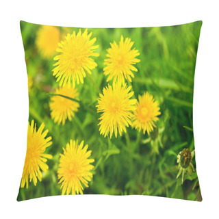 Personality  YeClose-up Of Yellow Dandelions Pillow Covers