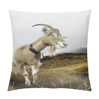 Personality  Goat In Mountain Pillow Covers