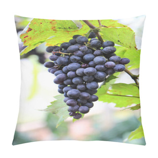 Personality  Black Grape Pillow Covers