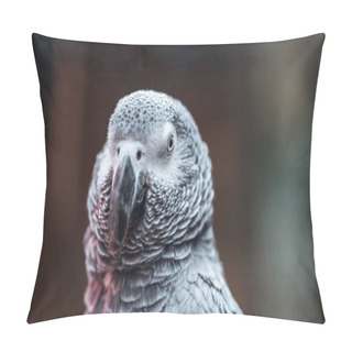 Personality  Close Up View Of Vivid Cute Grey Fluffy Parrot  Pillow Covers