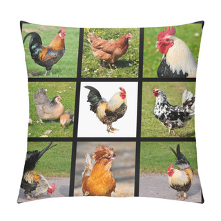 Personality  Photos Mosaic Of Roosters And Hens Pillow Covers