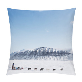 Personality  Dog Sled Expedition Pillow Covers