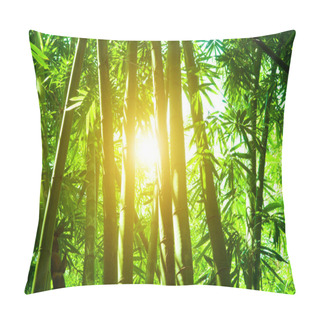 Personality  Bamboo Forest With Sun Flare Pillow Covers