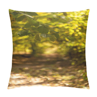 Personality  Selective Focus Of Scenic Autumnal Forest With Golden Foliage And Path In Sunlight Pillow Covers