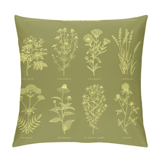 Personality  Medicinal Herbs. Pillow Covers