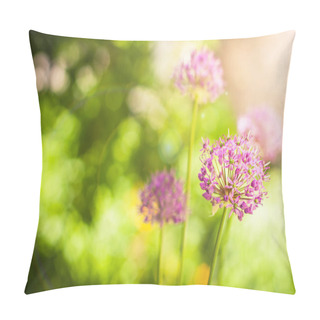 Personality  Beautiful Violet Flowers Of Allium Aflatunense Field Pillow Covers