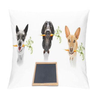 Personality  Couple Team Of Dogs  With  Healthy  Vegan Carrot In Mouth Pillow Covers