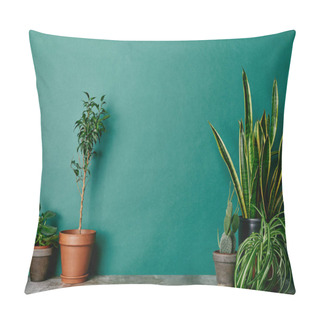 Personality  Various Plants In Flowerpots On Green Background Pillow Covers
