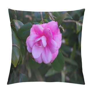 Personality  Bright Pink Camellia Flower Against Green Foliage Background Pillow Covers