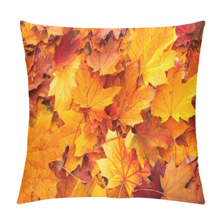 Personality  Background Group Autumn Orange Leaves. Pillow Covers