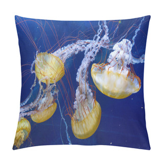 Personality  Spectacular Jellyfish Floating In Aquarium Pillow Covers