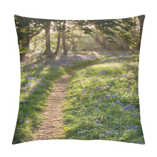 Personality  Bluebell Woodland Path With Dreamy Sunrise Pillow Covers