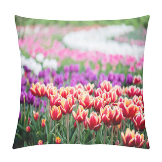 Personality  Beautiful Blooming Colorful Tulips Field Pillow Covers